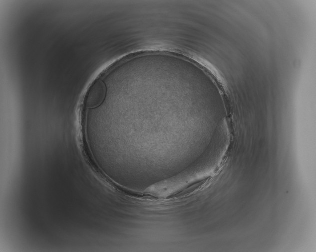 X0000102381120200808081132