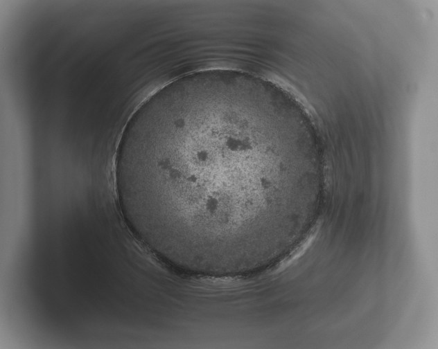X0000102381121200808081132
