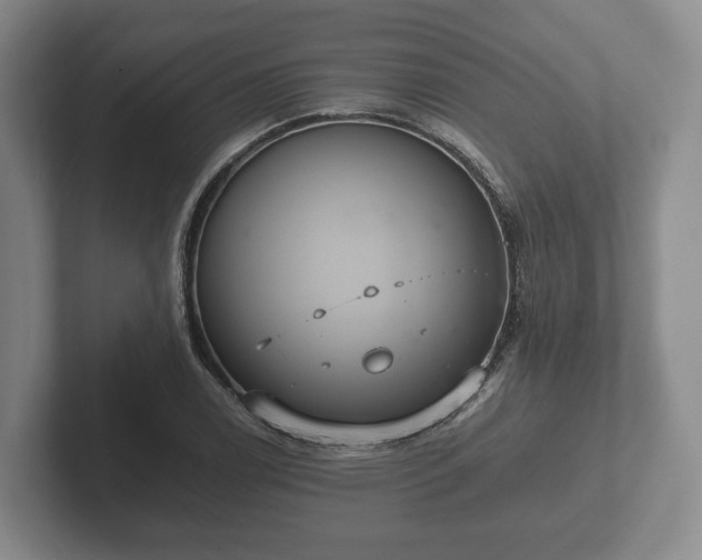 X0000102381122200808081132