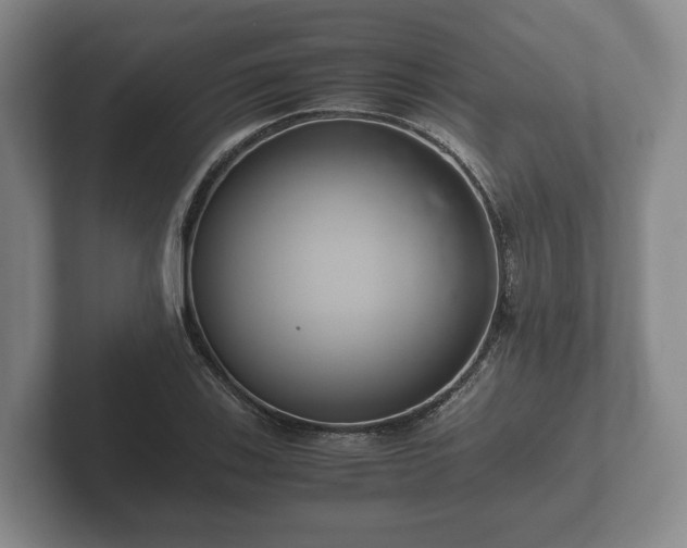 X0000102381123200808081132