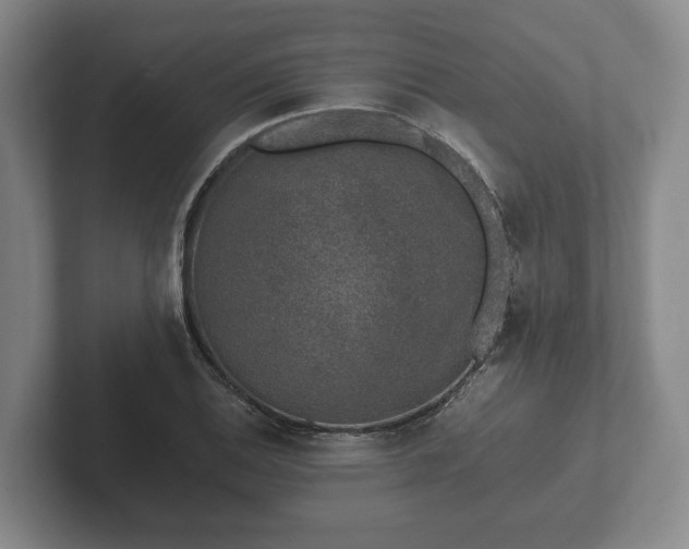 X0000102381124200808081132