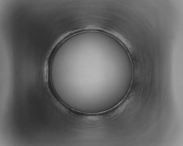 X0000102381126200808081132