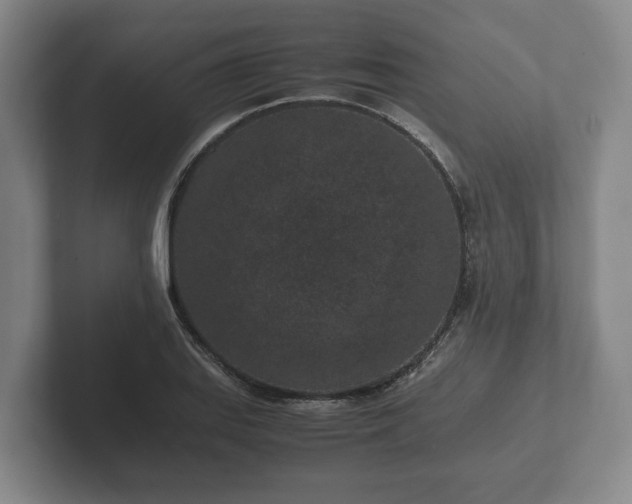 X0000102381127200808081132