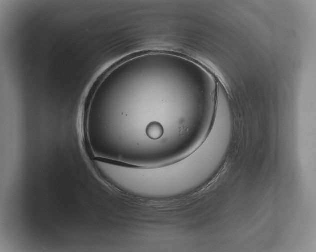 X0000102381128200808081132