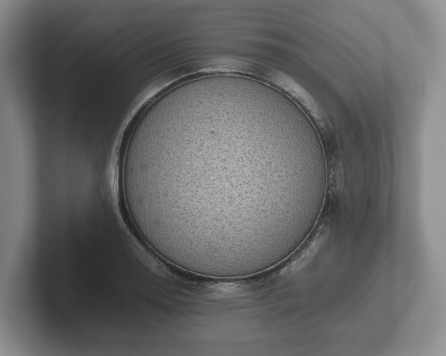 X0000102381130200808081132