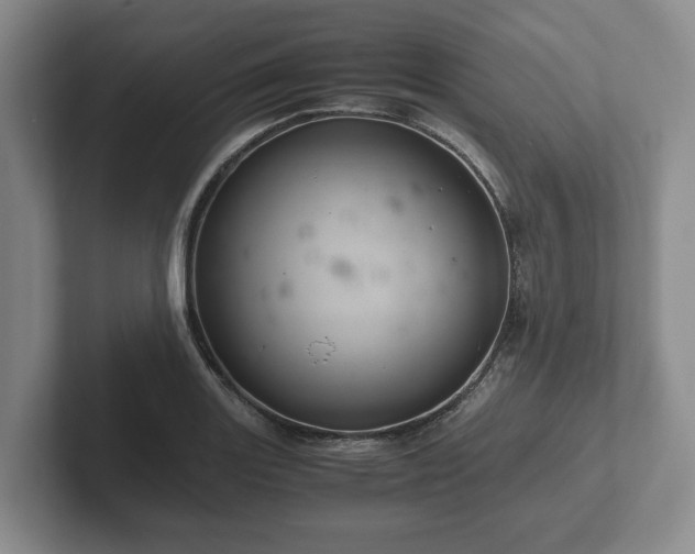 X0000102381131200808081132