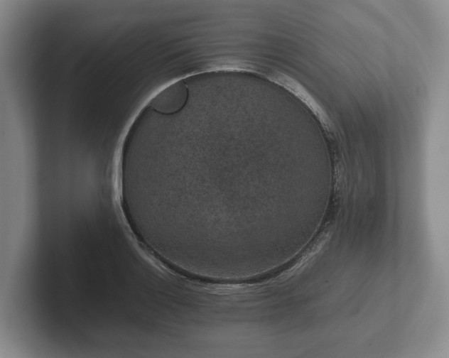 X0000102381132200808081132
