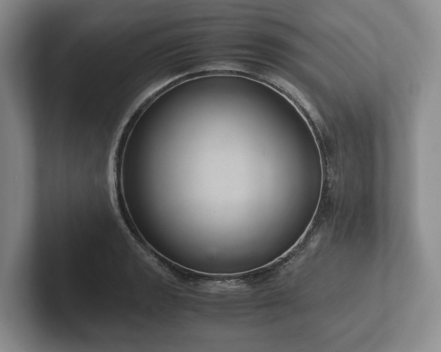 X0000102381133200808081132