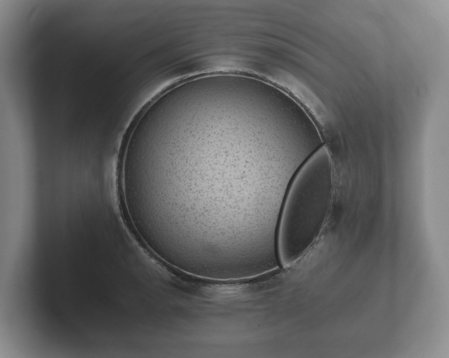 X0000102381134200808081132