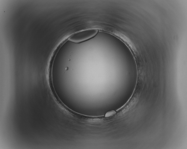X0000102381135200808081132