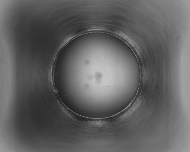 X0000102381137200808081132