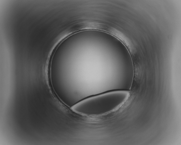 X0000102381138200808081132
