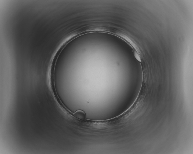 X0000102381139200808081132