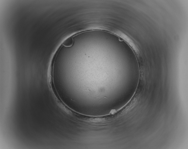 X0000102381140200808081132