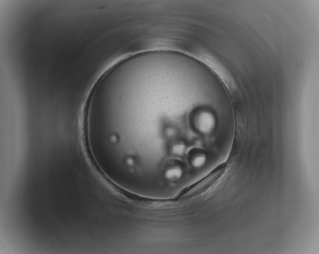 X0000102381142200808081132