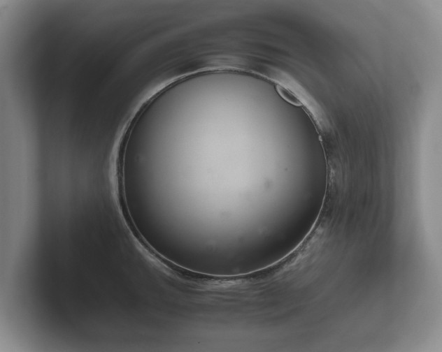 X0000102381143200808081132