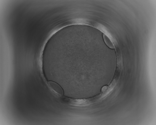 X0000102381144200808081132