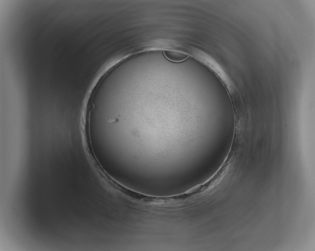 X0000102381146200808081132