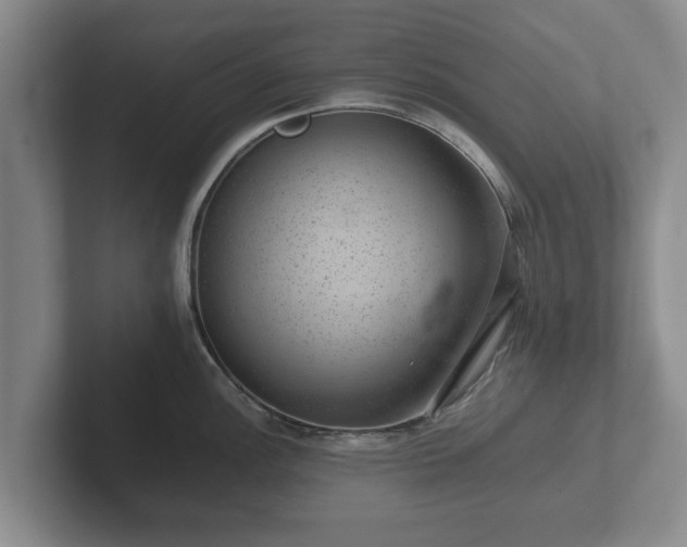 X0000102381148200808081132