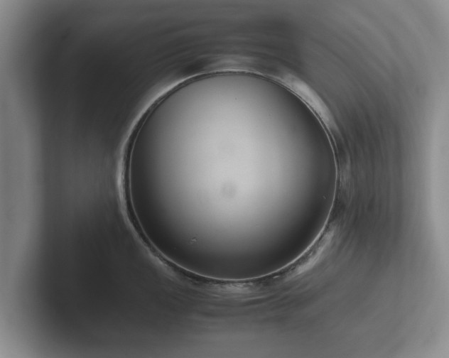 X0000102381149200808081132