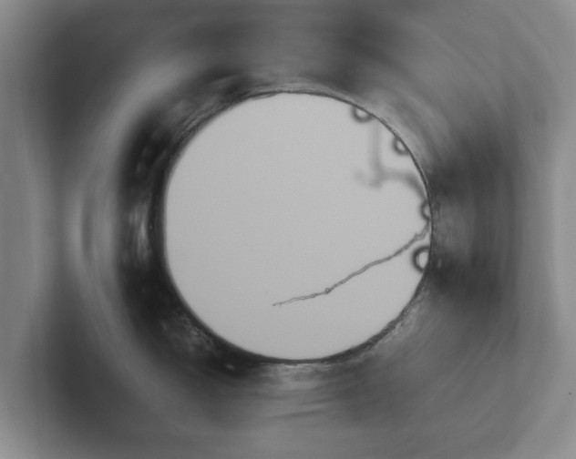 X0000102381150200808081132