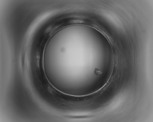 X0000102381151200808081132