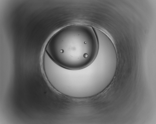 X0000102381152200808081132