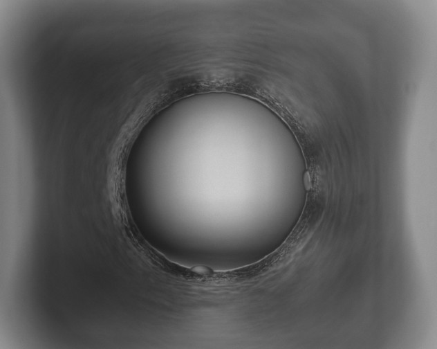 X0000102381153200808081132