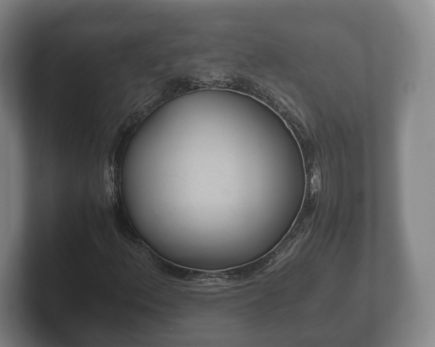 X0000102381156200808081132