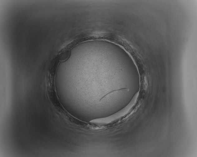 X0000102381158200808081132