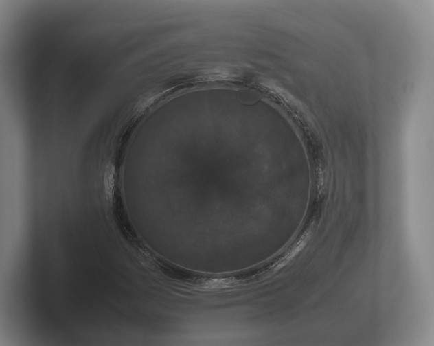 X0000102381161200808081132