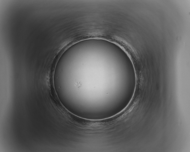 X0000102381162200808081131