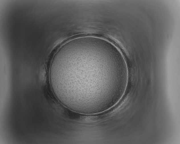 X0000102381163200808081131