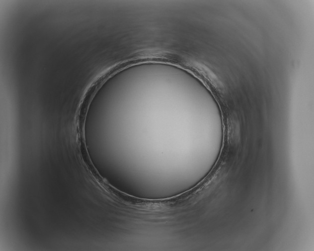 X0000102381164200808081131