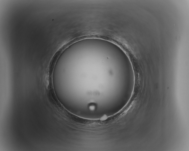X0000102381165200808081131