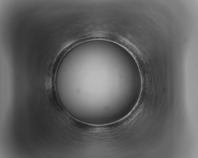 X0000102381166200808081131