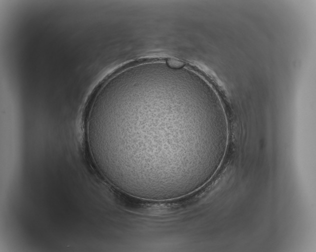 X0000102381167200808081131
