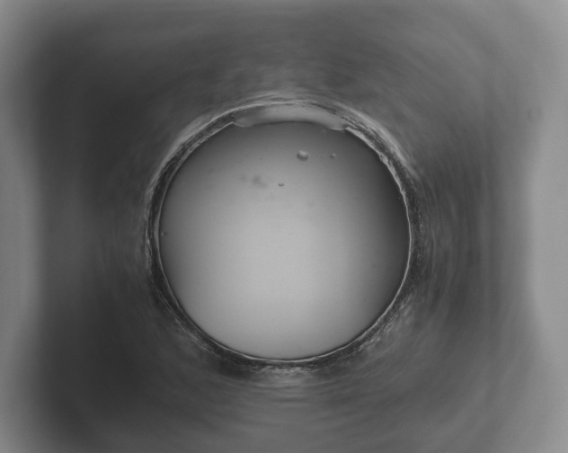X0000102381168200808081131
