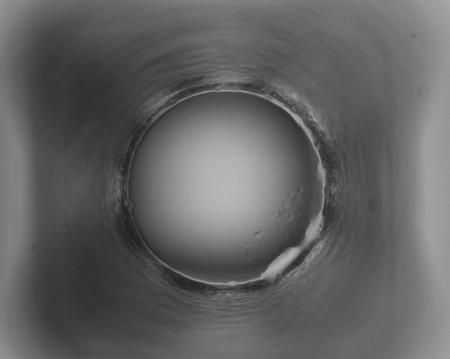 X0000102381169200808081131
