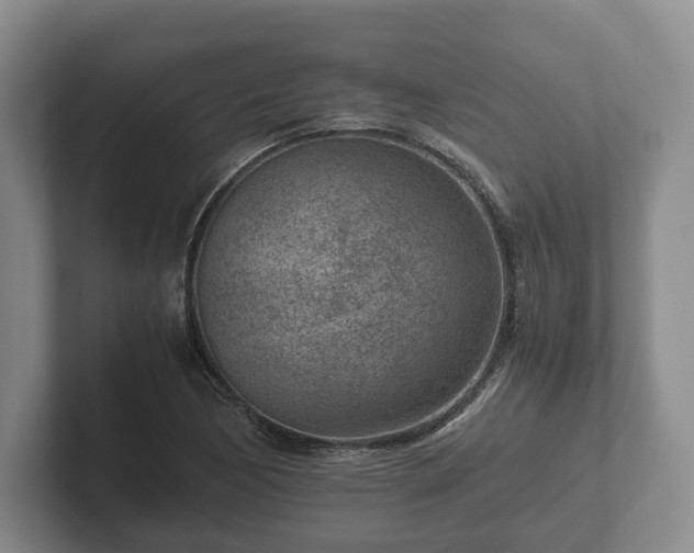 X0000102381170200808081131