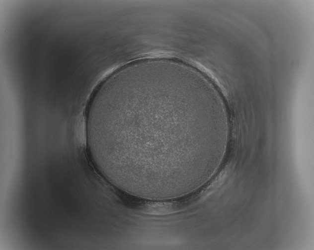 X0000102381171200808081131
