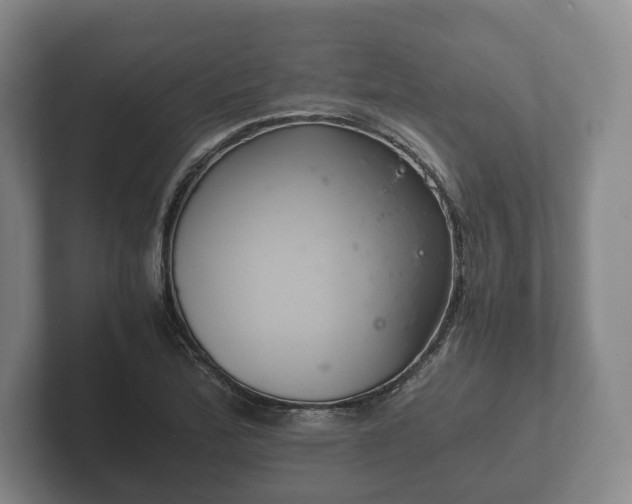 X0000102381172200808081131