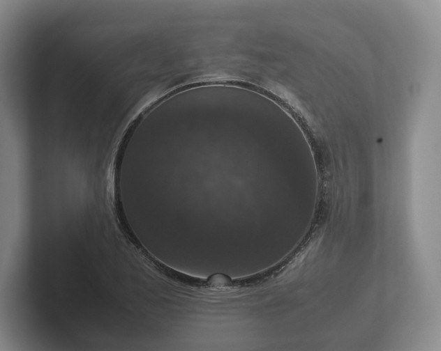 X0000102381173200808081131