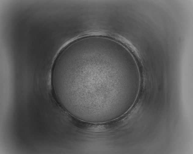 X0000102381174200808081131