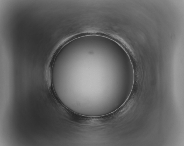 X0000102381175200808081131