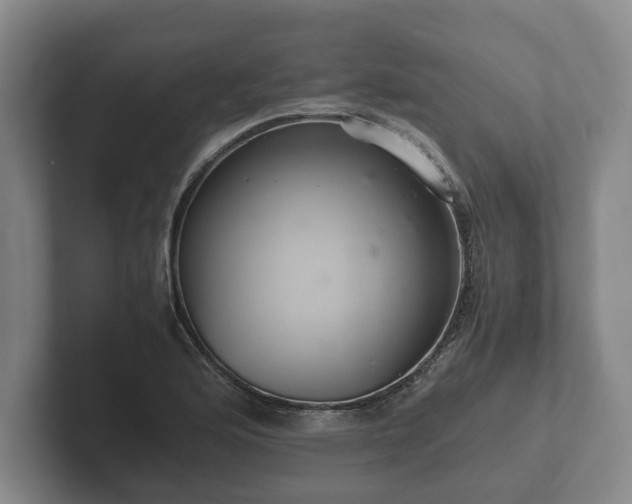 X0000102381176200808081131