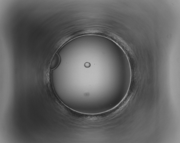 X0000102381177200808081131