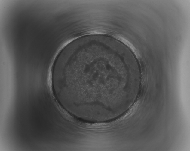 X0000102381179200808081131