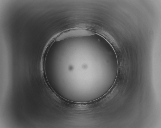 X0000102381180200808081131