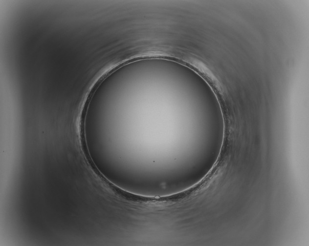 X0000102381181200808081131